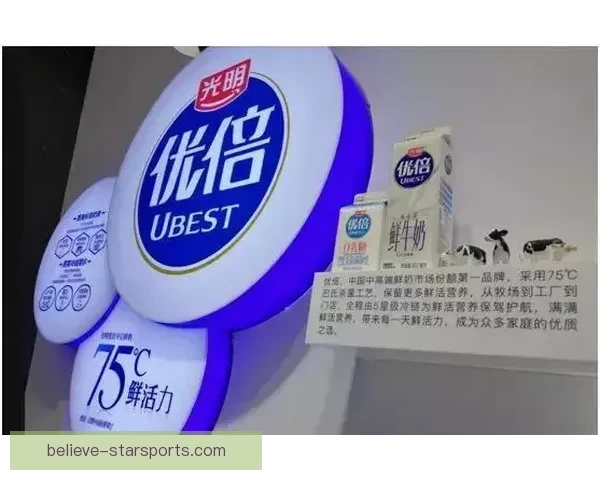 米德尔斯堡俱乐部发展历程与未来战略全面解析